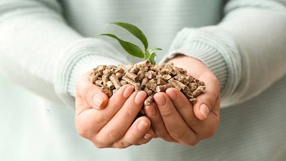 Mains tenant des granulés avec plante verte